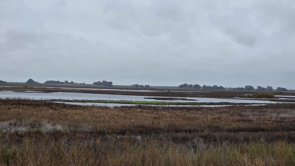 Cheyenne Bottoms Landscape