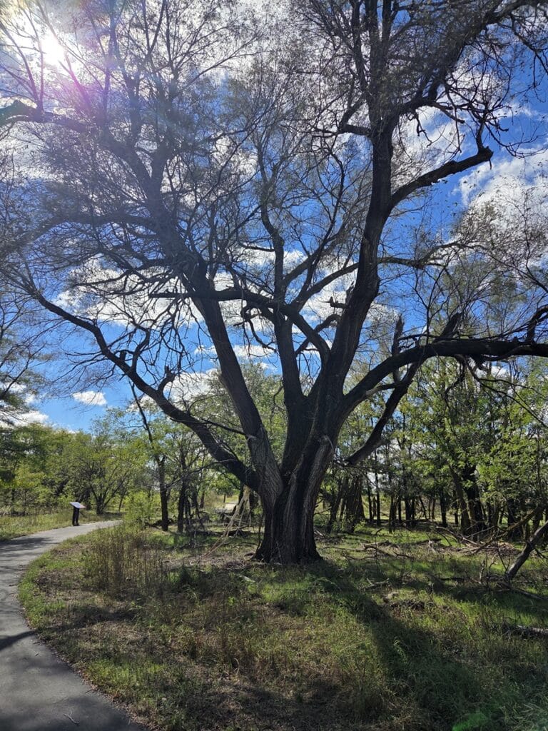 Migrant Miles Trail