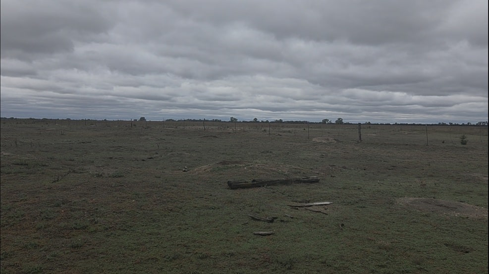 Prairie Dog Town
