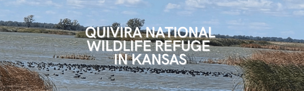 Quivira National Wildlife Refuge in Kansas