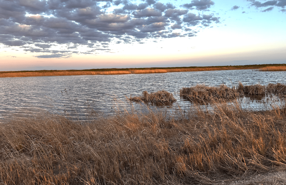 Quivira NWR