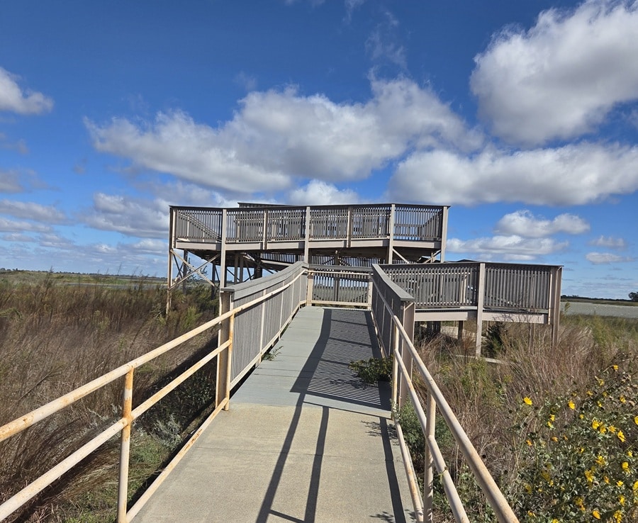 Wildlife Observation Tower